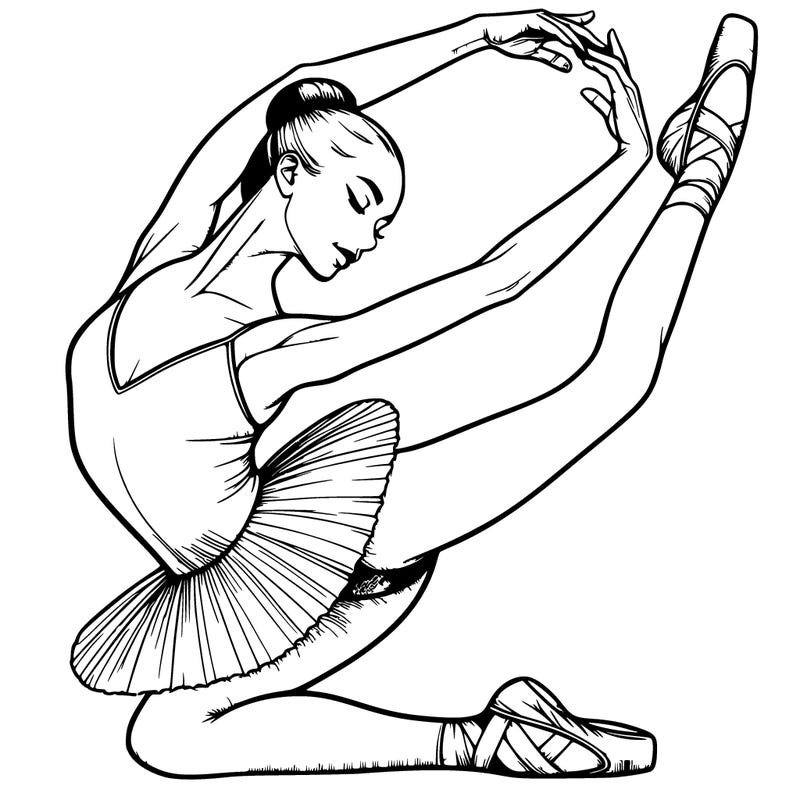 realistic ballerina plie