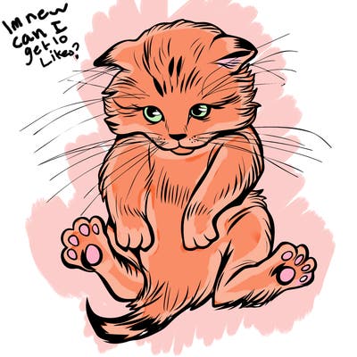 animals_20