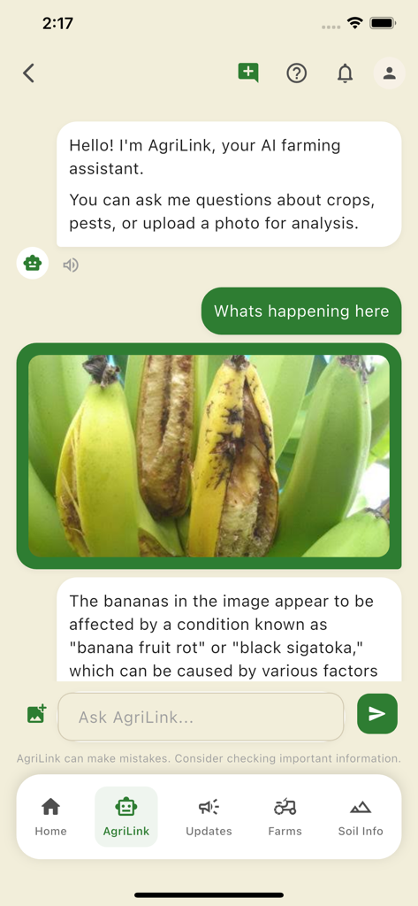 FarmersConnectGY - 업로드된 이미지에서 바나나 잎 반점을 식별하는 FarmersConnectGY 앱 AI 도우미.