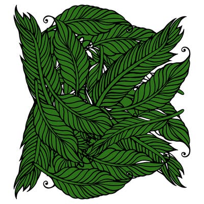 patterns_11