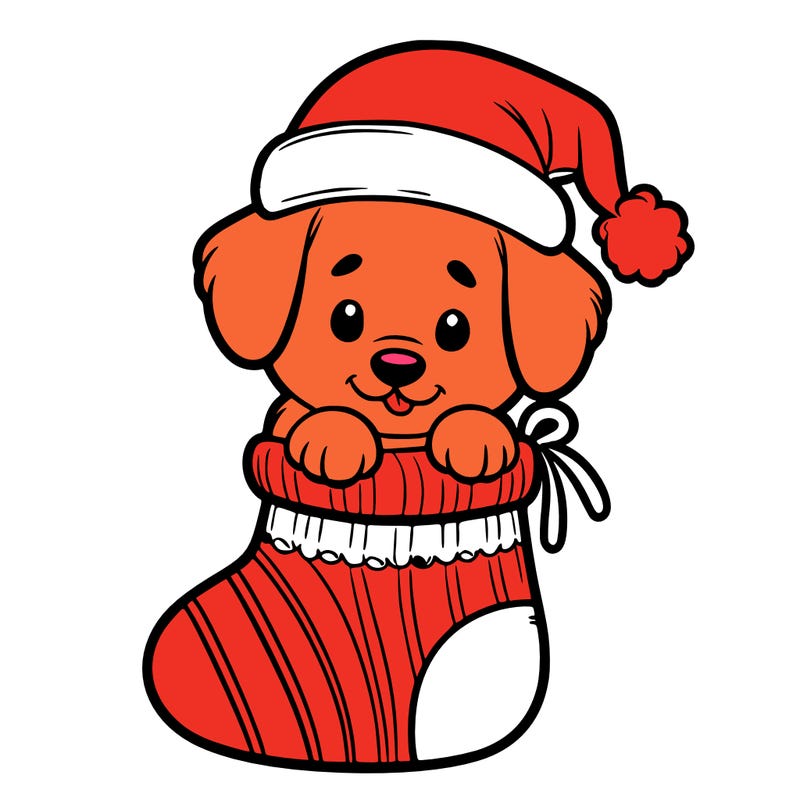 cute puppy wearing santa hat in socking