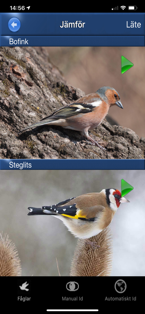 Comparison feature in the Bird Song Id app showing a Chaffinch and a Goldfinch with audio play options