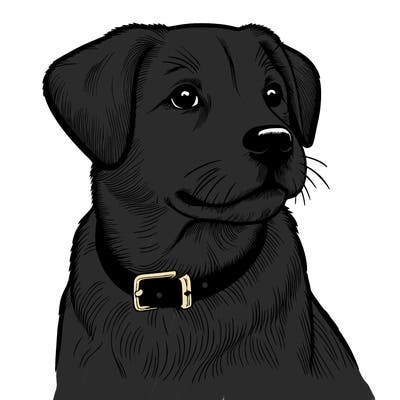 dog realistic