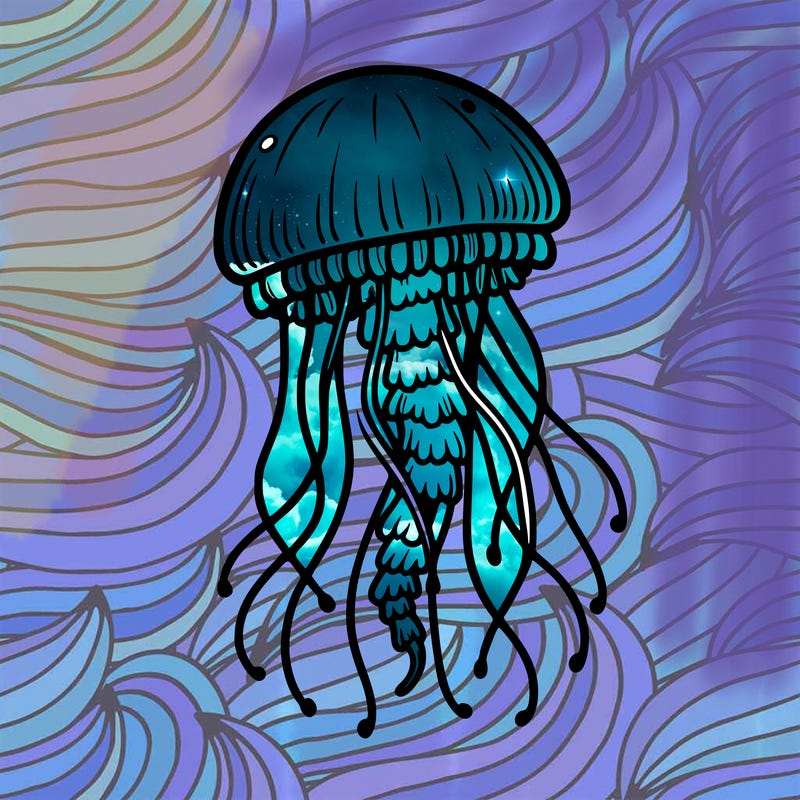 jellyfish