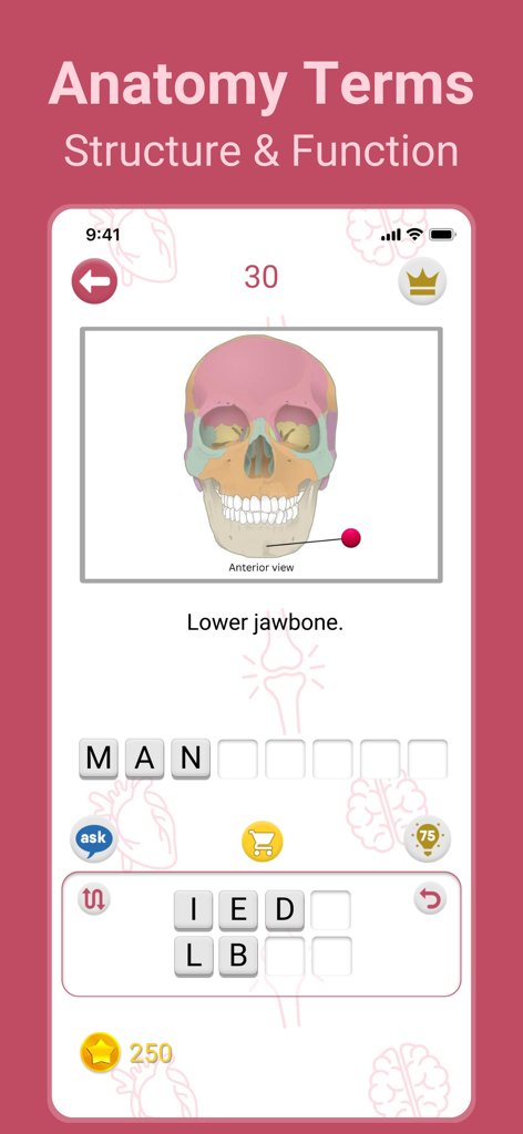 Medical Findings - Medical Findings app screen showing an anatomy word puzzle for the lower jawbone with a diagram of a skull.