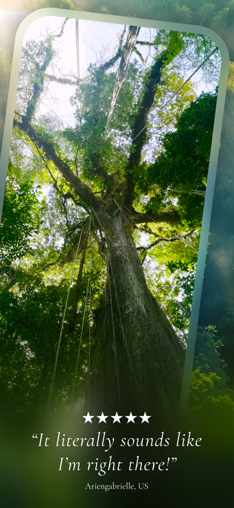 A massive tree in a lush forest with a five star user testimonial highlighting the immersive sound experience