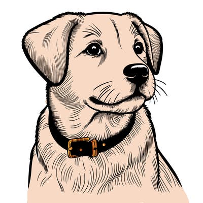dog realistic