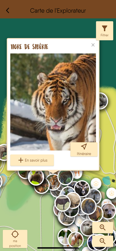 Mappa interattiva dell'app mobile Thoiry ZooSafari che mostra una scheda informativa sulla tigre siberiana e le posizioni degli animali