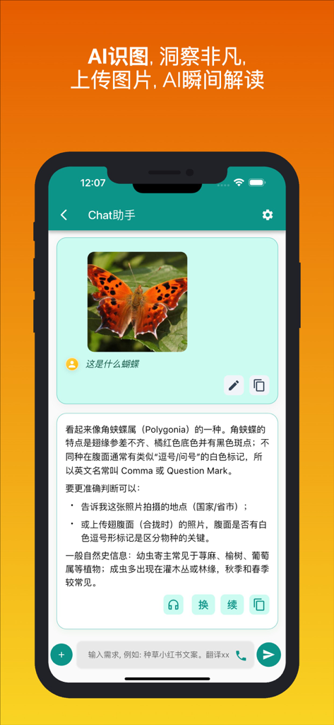 ChatGPU mobile app interface showing AI image recognition identifying a butterfly species from an uploaded photo.