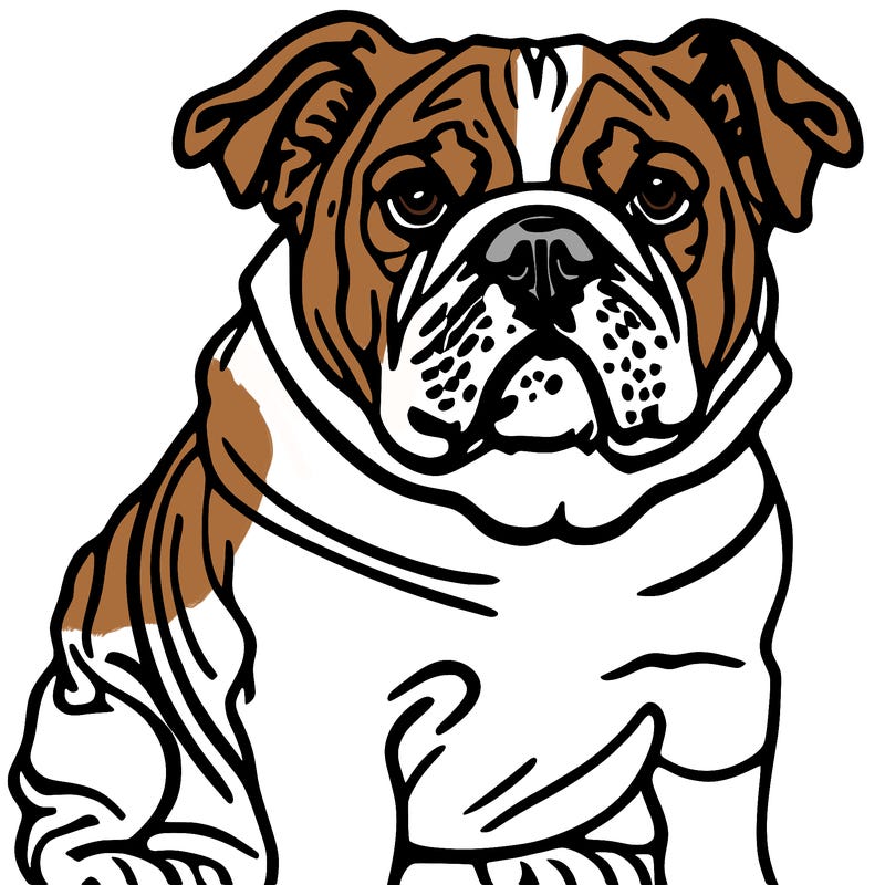 bulldog