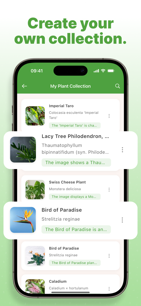 Ein mobiler Bildschirm der Plantinum App, der die Pflanzensammlung eines Benutzers mit identifizierten Arten wie Paradiesvogelblume und Monstera anzeigt.