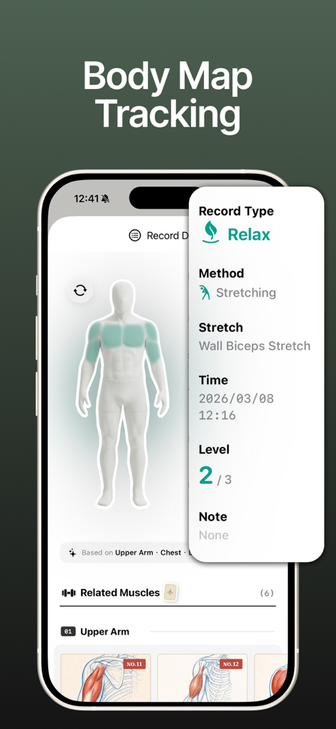 MuChills: Daily Stretch Log - Captura de pantalla de la aplicación MuChills que muestra el seguimiento del mapa corporal con un registro de estiramientos musculares y tarjetas anatómicas.