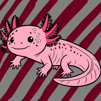 axolotl