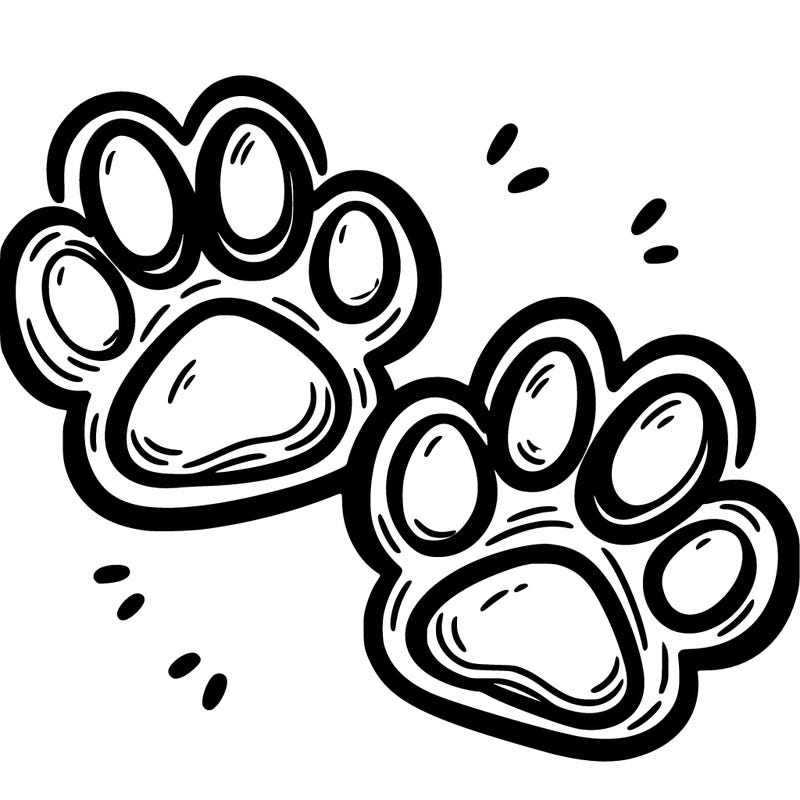 paw prints