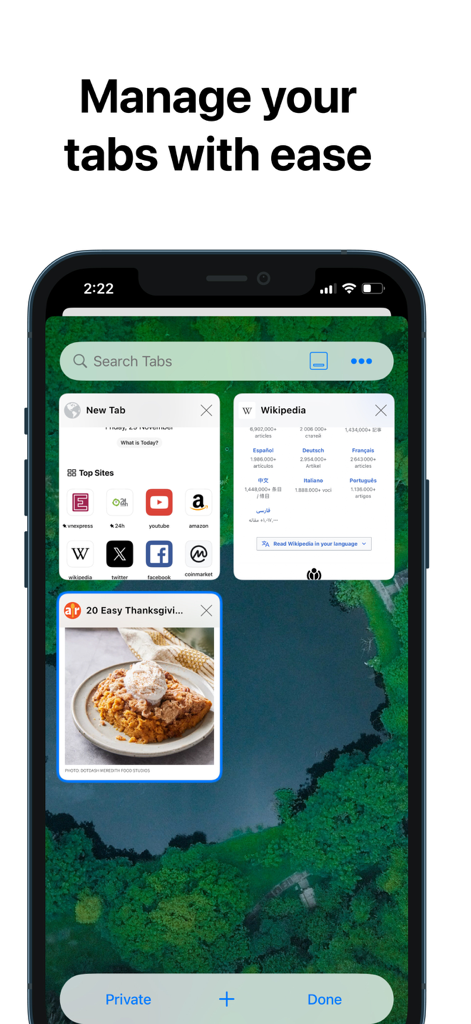 RedApp Browser - RedApp Browser tab management interface showing a grid of open web pages and a search bar