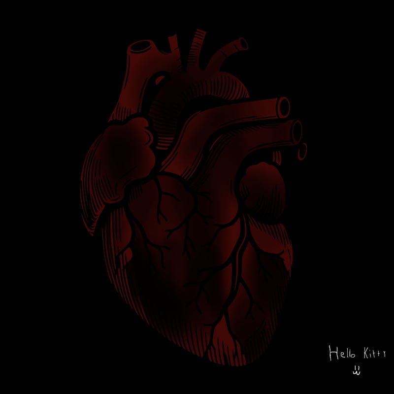 a realistic human heart