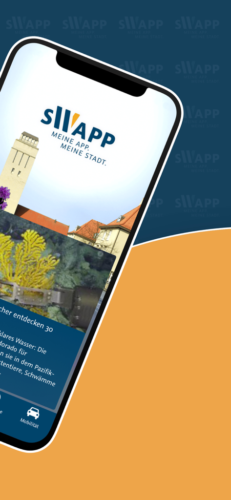 sWapp - sWapp mobile App Startbildschirm mit dem Logo und lokalen Informationen der Stadt Delmenhorst