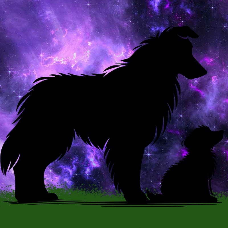 silhouette of a shepherd with his still and baby dog