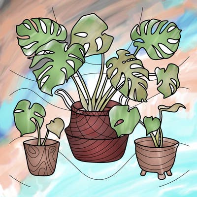 flowers_25