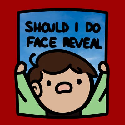 should i do a face reveal