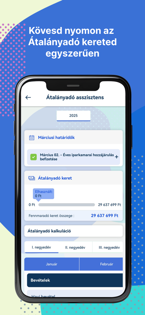 Pantalla de la aplicación móvil Billingo que muestra el asistente de impuestos de tarifa plana con seguimiento del progreso y plazos