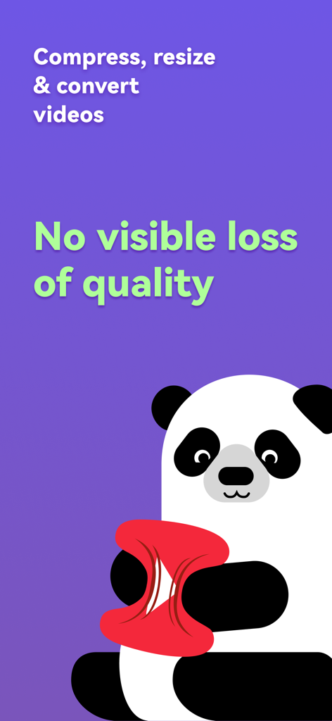 Panda mascot illustrating high quality video compression and resizing features