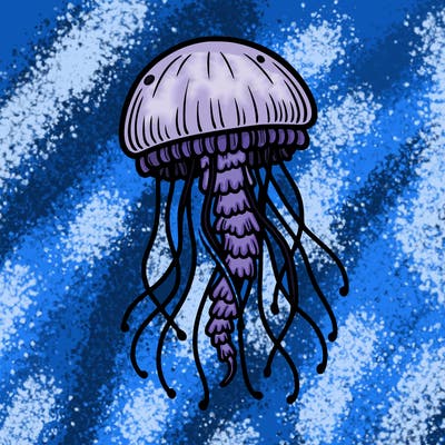 jellyfish