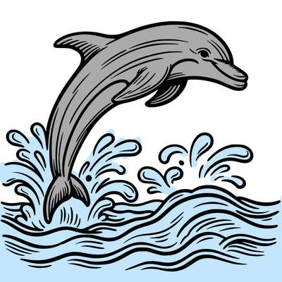 dolphin jumping