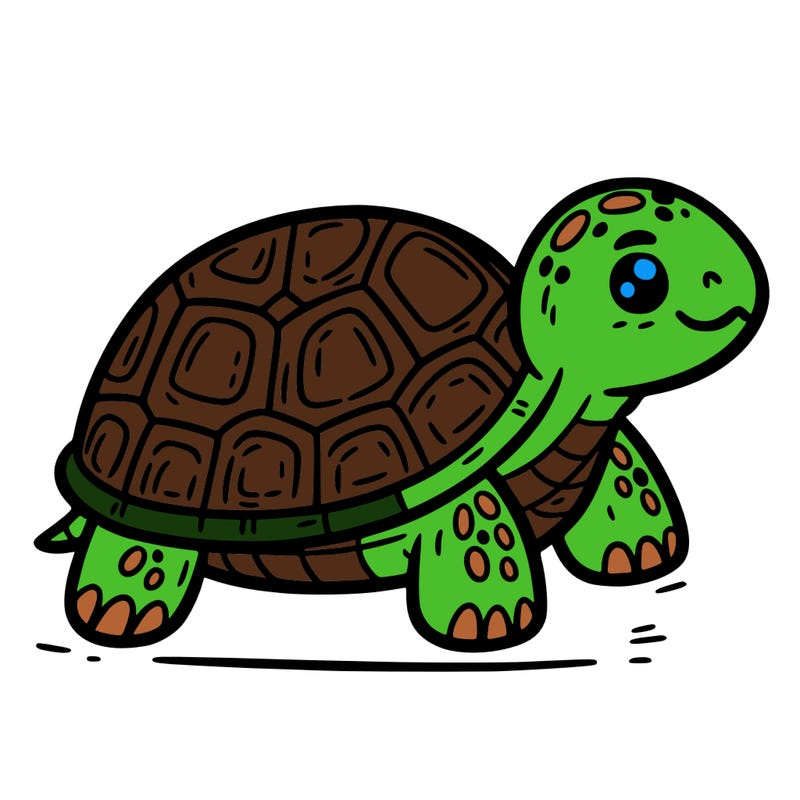 turtle