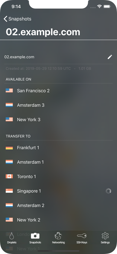 Manager for Digital Ocean - Interface for managing and transferring Digital Ocean snapshots across different regions.