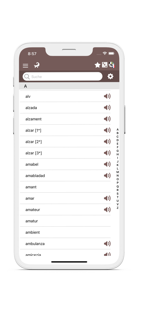 Un écran de smartphone affichant une liste de mots romanches avec des boutons de prononciation audio dans une application de dictionnaire.