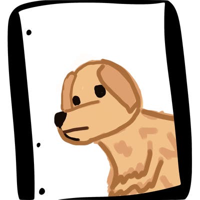 blank white page with nothing drawn on it