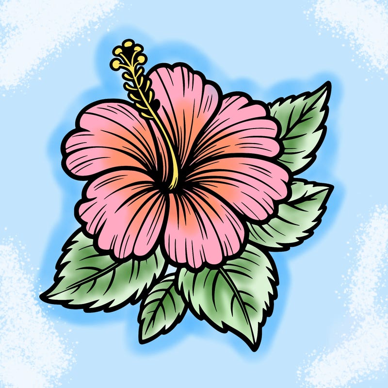 hibiscus flower