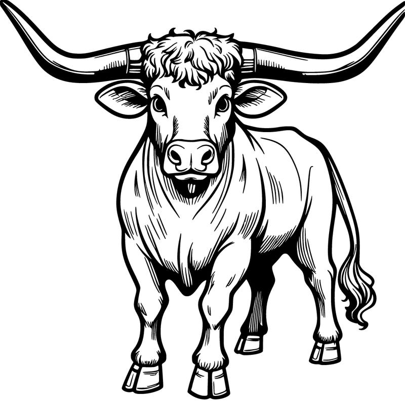 longhorn bull cattle
