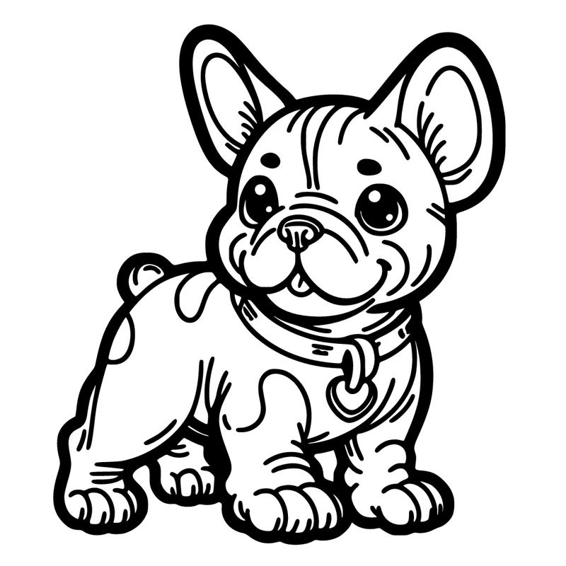 french bulldog