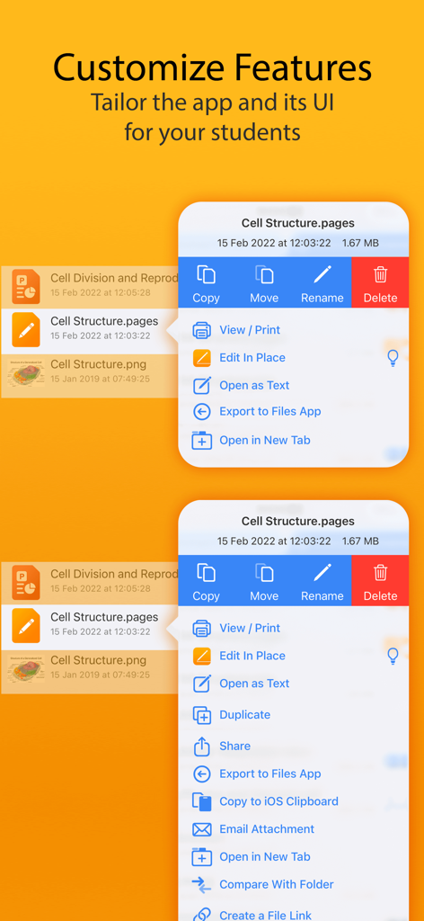 Interface showing how to customize and tailor app features for students in FileBrowser for Education