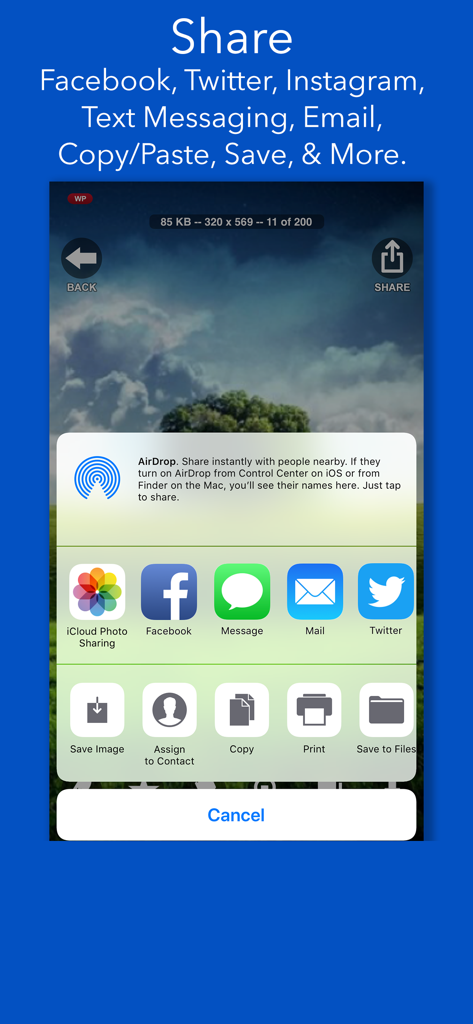 CLIPish Pro - Animations Emoji - CLIPish Pro share menu with options for social media text messaging and email