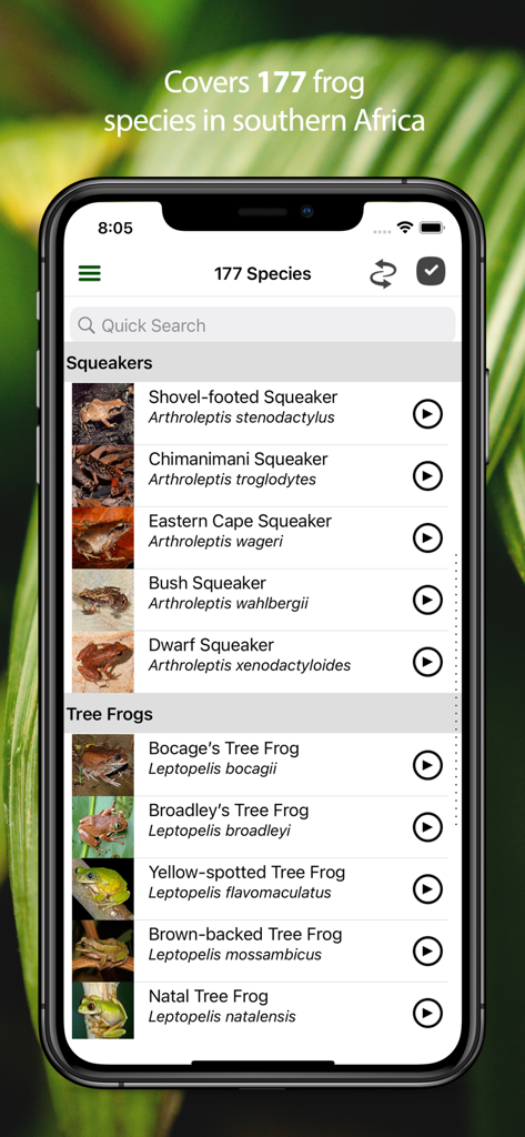 App screen displaying a searchable list of frog species with photos and audio call play buttons