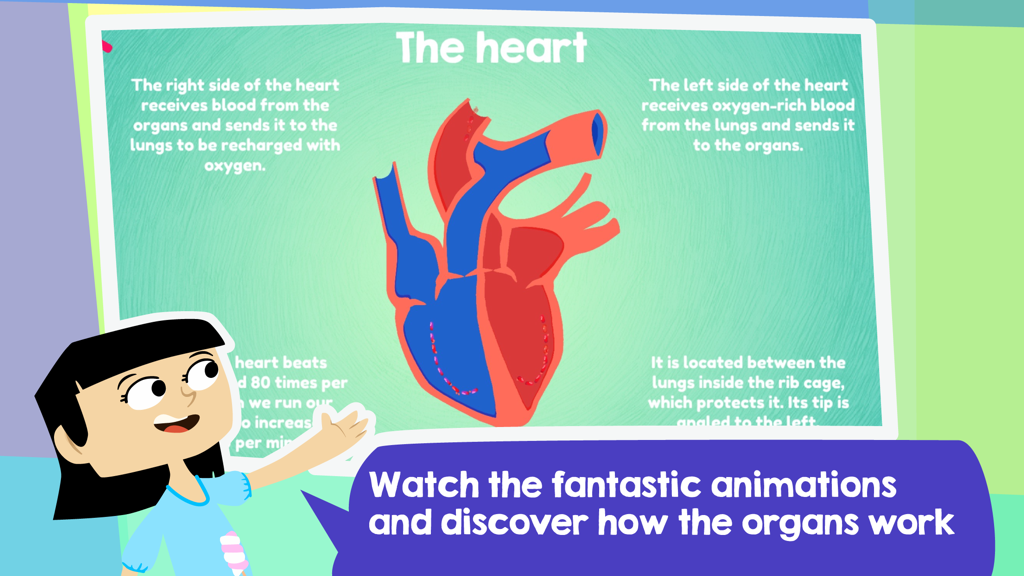 Doctor Justabout and the Human body - ジャスタバウト博士の知育アプリで血流を説明している人間の心臓の図