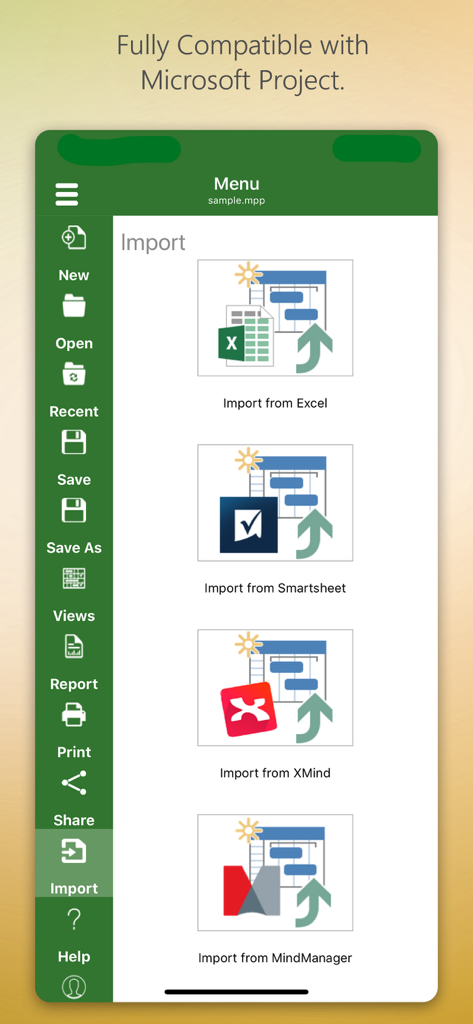 Interface de l'application iProject Viewer montrant les options d'importation à partir d'Excel, Smartsheet, XMind et MindManager.