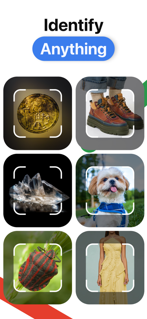 Mobile app screen showing visual search categories for coins fashion minerals pets and insects
