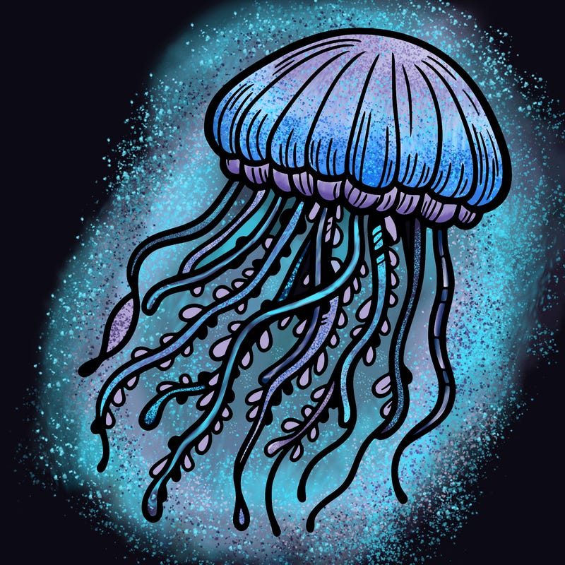 jellyfish