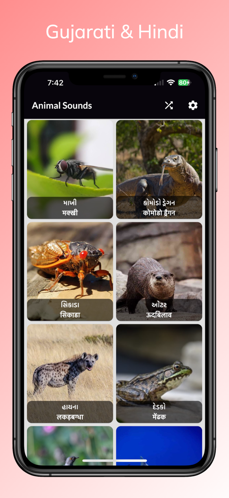 Animal Sounds - With Birds - Interfaz de la aplicación Sonidos de Animales que muestra una cuadrícula de animales con etiquetas en gujarati e hindi