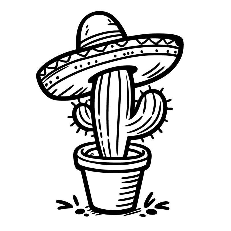 a cactus in a pot with a sombrero hat