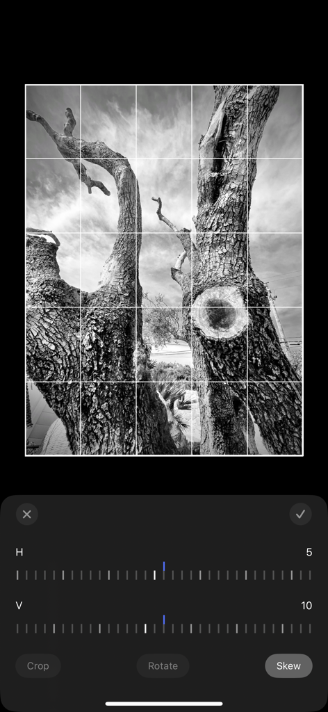 木の白黒写真に遠近法補正および歪み調整ツールを示すモバイルアプリインターフェイス