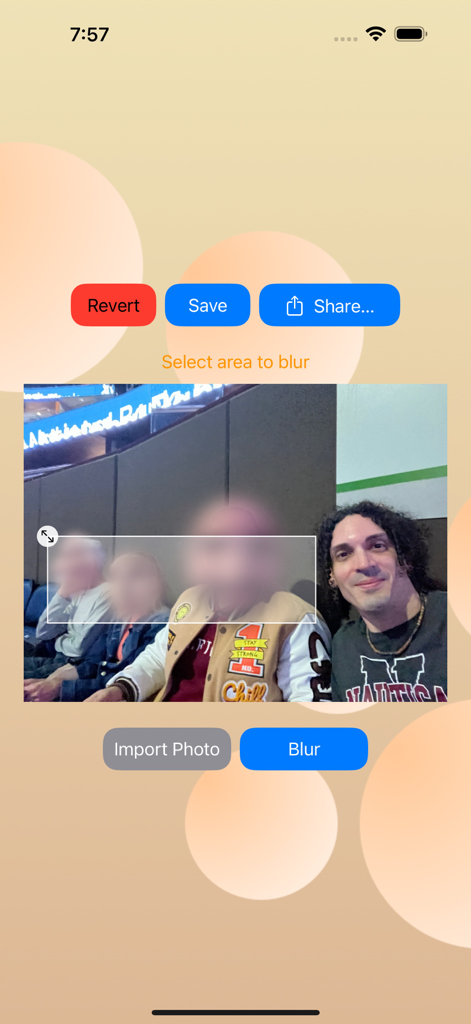 Photo Face Blur - Une capture d'écran iPhone de l'interface de l'application Floutage de visages montrant des visages d'arrière-plan floutés dans une photo de stade