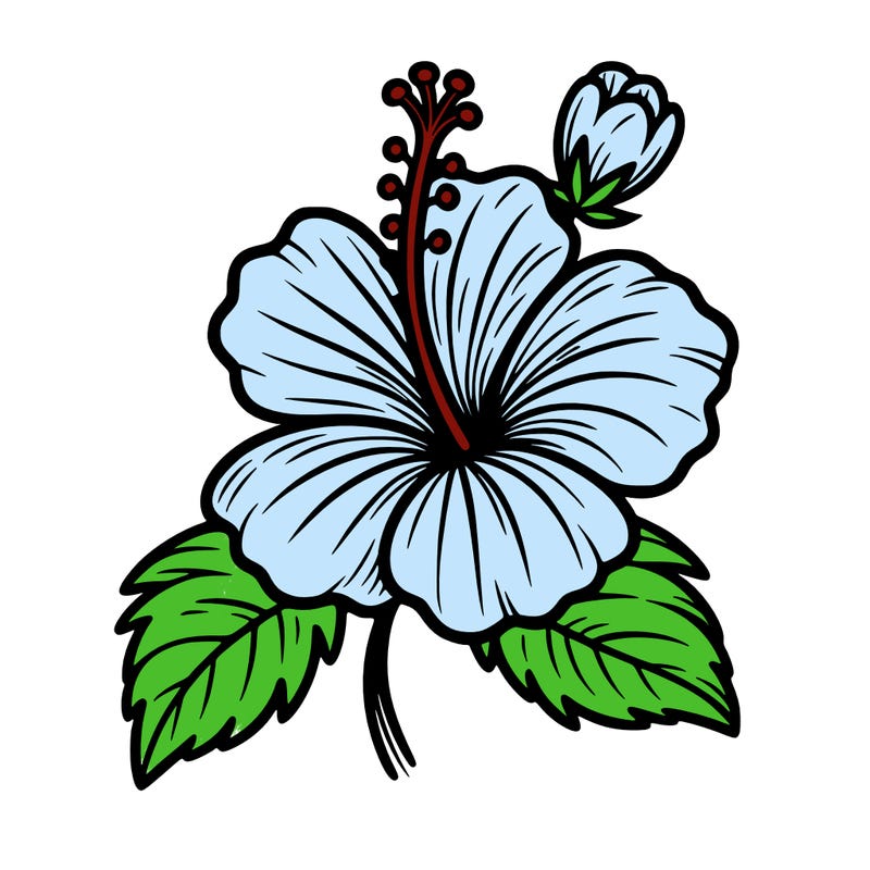 hibiscus flower