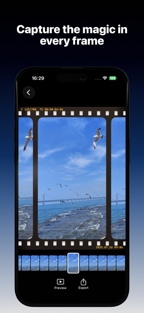 LiveGrab - LiveGrab app interface showing a user selecting a high definition frame from a video of seagulls over the ocean.