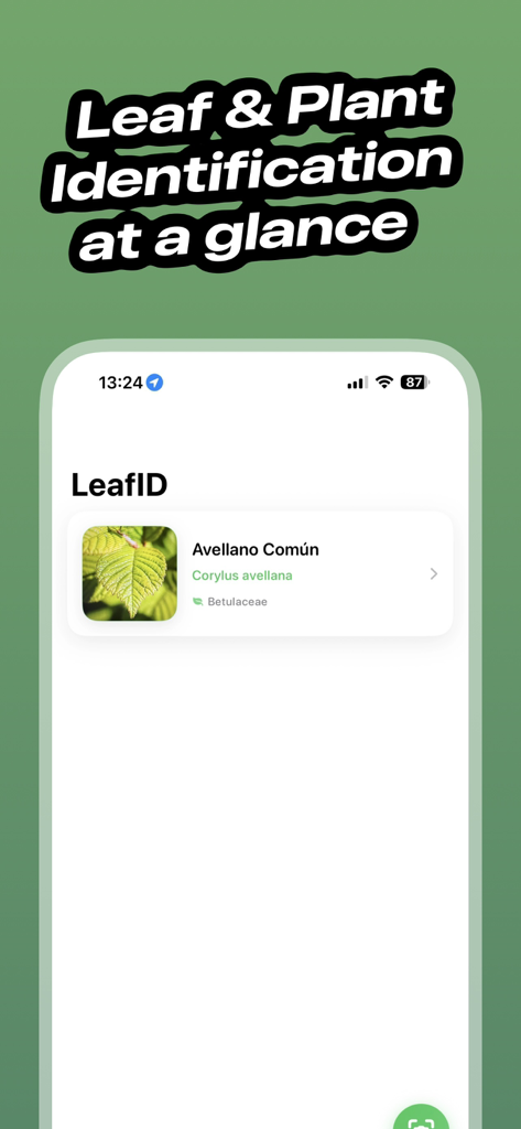 Leaf Identifier - LeafID - Interfaz de la aplicación móvil LeafID que muestra el resultado de identificación de una planta para una hoja