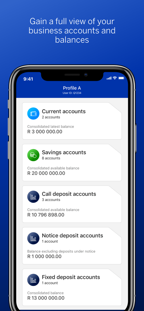 Écran de smartphone montrant un résumé des soldes de compte d'entreprise, y compris les comptes courants, d'épargne et de dépôt dans l'application Business Online SA